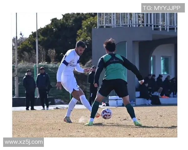 喀麦隆足球队代表球星有哪些他们的成就与影响力解析